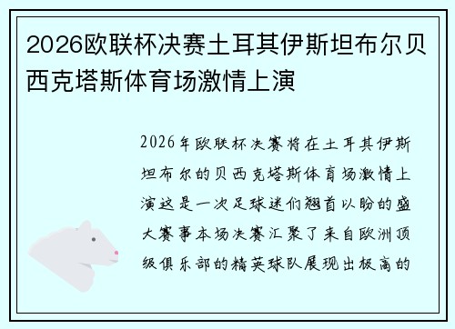 2026欧联杯决赛土耳其伊斯坦布尔贝西克塔斯体育场激情上演